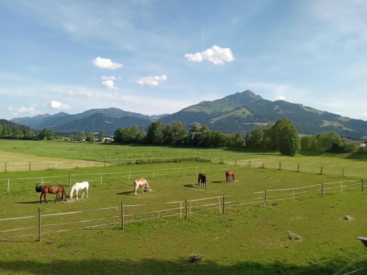 Apartment-Pension Schmiedererhof Sankt Johann in Tirol Εξωτερικό φωτογραφία