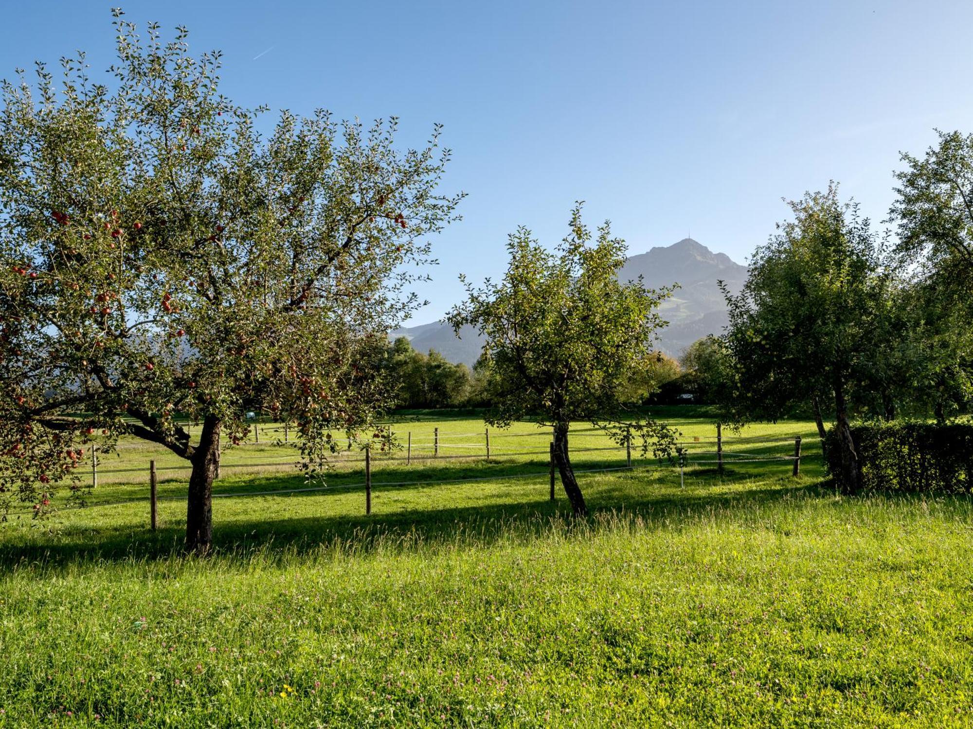 Apartment-Pension Schmiedererhof Sankt Johann in Tirol Εξωτερικό φωτογραφία